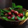 The Amazing Kokum Plant: Alleviates Anxiety & Depression & Helps with Weight Loss