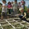 Should Children Be Taught How to Grow Food in School?