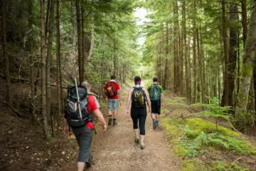 Scientists Claim: Hiking Changes Your Brain
