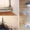 Learn How to Remove Mold Naturally, Safely & Permanently