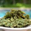 Healthy & Tasty: How to Make Delicious Kale Chips at Home