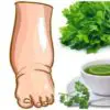 Your Legs Are Swollen? Drink this Potent DIY Tea to Cure Them