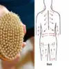 Dry Skin Brushing: Detoxifies the Skin & Lowers Cellulite- Learn How to Do It Properly