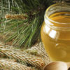 Relieve Lung Inflammation & Bronchitis with Pine Needle Syrup