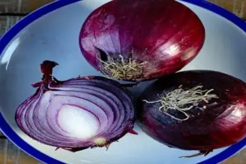 Eat Red Onions more often: They Avert Heart Attacks, Lower the Blood Sugar & Balance the Blood Pressure