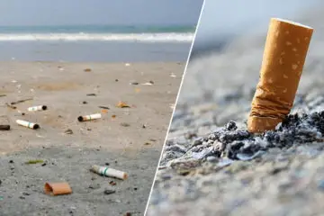 Cigarette Butts: Some of the Major Ocean Pollutants