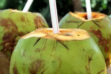 Coconut Water on the Daily: Balances the Blood Sugar & Fights Off Oxidative Damage