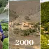 Couple Spends 20 Years Planting a Forest & Animals Came too