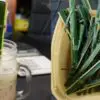 Eco-Friendly Future: Philippine Coffee Shop Uses Straws from Coconut Leaves