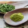 Moringa, the Superfood Everyone Is Talking about