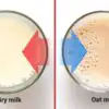 Doctors Explain: this Happens to Your Body when You Drink Oat Milk rather than Dairy