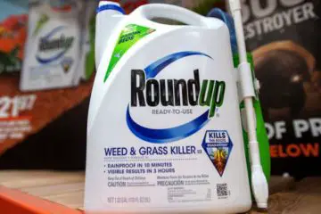 Official Costco Statement: They Will no Longer Sell Monsanto’s Roundup