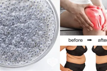 Soaked Chia Seeds Boost the Metabolism, Speed up the Burning of Fat, and Fight Off Inflammation