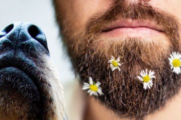 Researchers Claim: Men with Beards have more Germs than Dogs