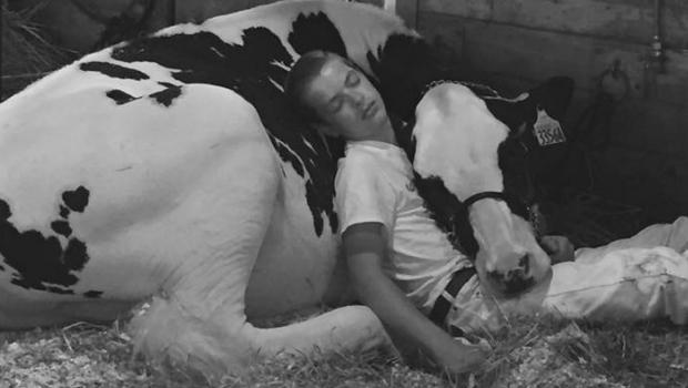 Tired Boy & His Cow Fall Asleep on a Farm & Win over the Internet