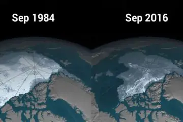 NASA Video Shows the Disappearing Arctic Polar Ice Cap