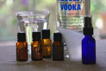 Mosquito-Free Summer: Soothing & Effective DIY Natural Repellent