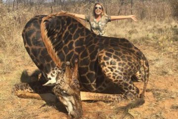 Female Hunter Facing Backlash because of Killing Rare Black Giraffe