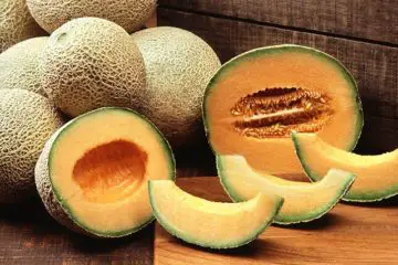 Cantaloupe’s Amazing Health Benefits: It Should Definitely Be a Part of Your Diet