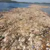 ‘Sea of Plastic’ Found in the Caribbean Is Choking Wildlife