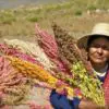 Bolivia to Produce their Own Food by 2020: Major $40 Million Investment in Local Food Production