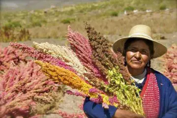 Bolivia to Produce their Own Food by 2020: Major $40 Million Investment in Local Food Production