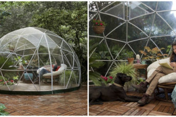 Would You Buy It? Amazon Is Selling a Garden Dome Ideal for Backyards