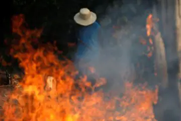 Sad News: Amazon Rainforest Burning at a ‘’Record Rate’ & Smoke Blocks the Sun in Brazil