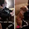 This Woman Adopts a Pit Bull from a Shelter & He Can’t Stop Hugging Her