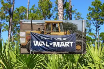 Court Prevents Walmart from Being Built on Endangered Forest in Florida