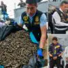 Authorities Intercept a Vessel Illegally Transporting 12.3 Million Seahorses Extracted from the Pacific