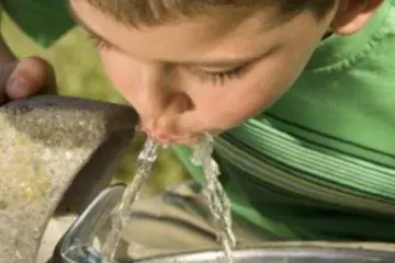 Fluoride Reduces the IQ of Children, Study Finds