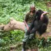 Beautiful Humans: A Man Comforts a Gorilla That Lost Its Mother