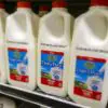 Largest Milk Producer in the US Files for Bankruptcy: Cow Milk Is Unhealthy & Inhumane