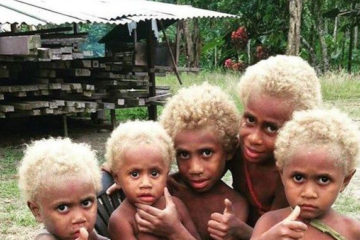 Breathtaking Photos of Melanesians- the only Black Blondes on Earth