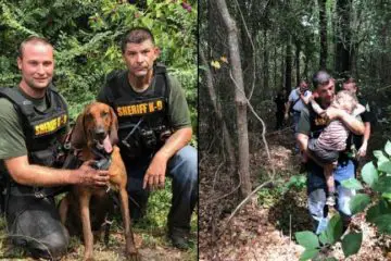 K-9 Find Missing 3-Year-Old Autistic Boy from Florida in Half an Hour