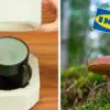 IKEA Plans to Switch from Styrofoam to Mushroom-Made Packaging