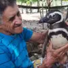 A Penguin Swims 5000 Miles every Year to Reunite with His Savior