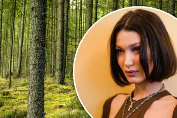 Popular Model Bella Hadid Vows Planting Trees to Reduce Carbon Footprint because of Her Travels