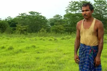 Amazing People: Man from India Planted a Tree every Day for 35 Years, the Results Are Bigger than the Central Park