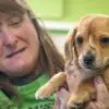 Narwhal, the ‘Unicorn’ Puppy & Internet Sensation has been Adopted & has a Forever Home