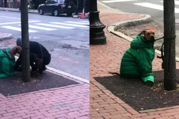 Beautiful World: Woman Gives Her Jacket to Her Dog so It Stays Warm while Waiting Outside