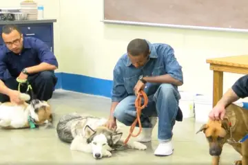 Abused Dogs Rehabilitation Program in Lovelock Prison Helps Inmates, Veterans & First Responders