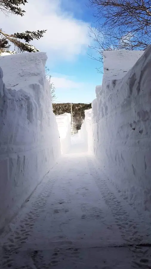 Historic Snow Blizzard in Canada: Photos & Videos Showing 30+Inches of Snow