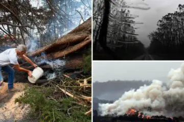Despite Rain, Australia Wildfire Threat Continues