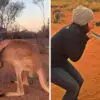 Rescued Kangaroo Can’t Stop Hugging The Volunteers Who Saved Her Life