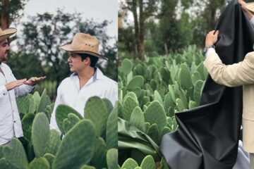 Two Entrepreneurs from Mexico Created an Eco-Friendly & Vegan Leather Using Cactuses