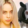 Singer Billie Eilish Says It’s a really Good Time to Be Vegan