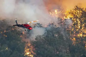 Australia Fires Aren’t Stopping: Victoria Declares State of Disaster & Orders Evacuation