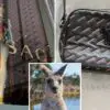 Pressure from Activists Resulted in Versace Banning Usage of Kangaroo Skin